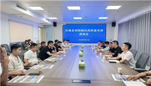 延链强链提质效 聚力赋能促升级——台前县羽绒制品高质量发展座谈会召开