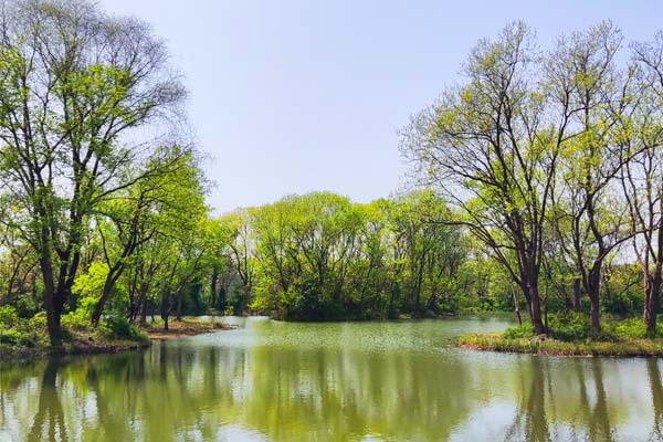 数据发布 | 2025年12月中国服装电商景气指数