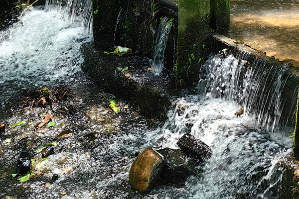 关于征集行业标准《经编纬纱储纱机》起草单位的通知